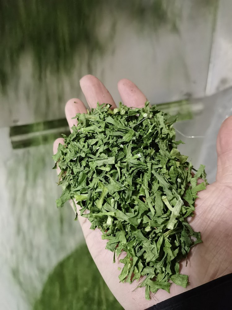 脫水韭菜系列3